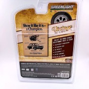 greenlight-1972-datsun-510-1-64-back.jpg