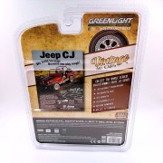 greenlight-1979-jeep-cj-7-renegade-1-64-back.jpg