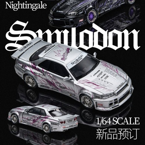 Time Micro Nissan Skyline R34 Smilodon Silver Nightingale 1:64 plakat