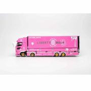 GCD LBWK HINO 700 LB PINK KAYANO DIST EDITION 1:64 bok